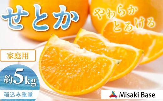 せとかのサムネイル