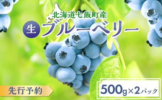 ブルーベリのサムネイル